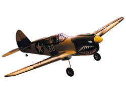 Модель SQS Warbird Curtiss P-40 Warhawk 40 (увеличить фото)